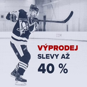 4 Vyprodej VPH
