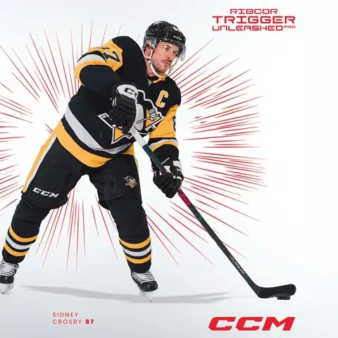 CCM CCM